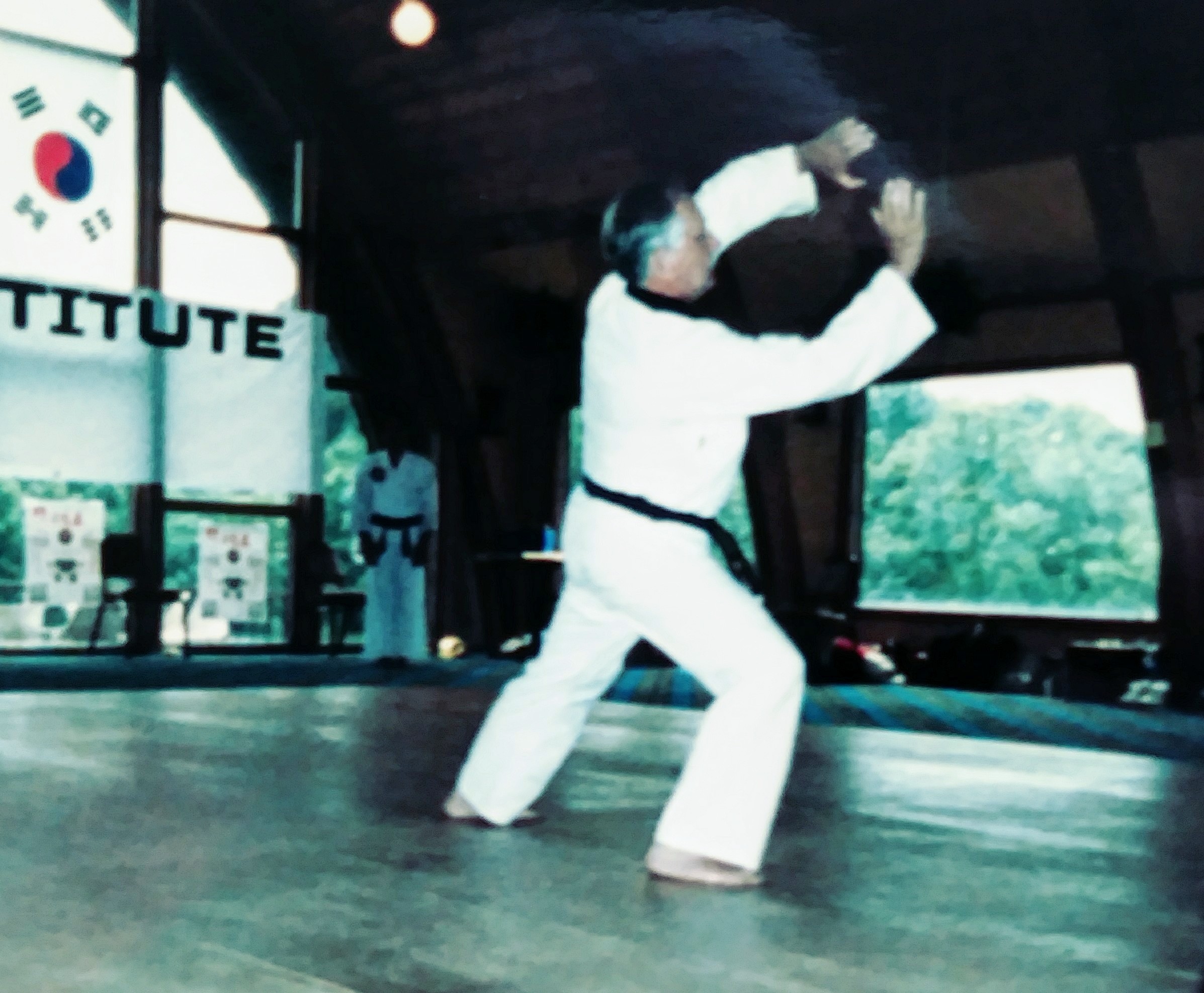 1987 - The Late Senior Master Bruce Park Sr., Sauk Valley Seminar - Brooklyn, MI