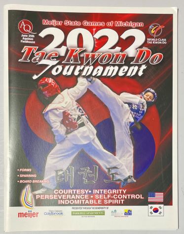 2017 State Games of Michigan Tournament